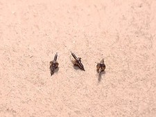 Lot Of 3 NOS Elgin 15/0 Grade 674 17j Lord Elgin 6603 Balance Staffs