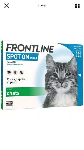 frontline spot on for cats 6 pipettes