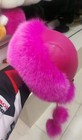 Bild 31 von 33