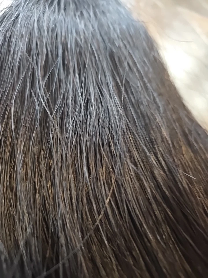 Fake Horse Tail - Image 3 of 4