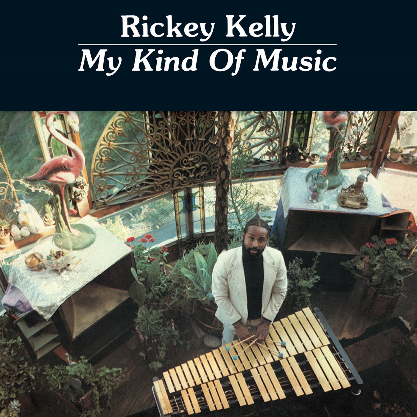 Rickey Kelly My Kind of Music LP Vinyl NEW