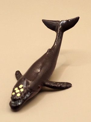 Humpback Whale Plastic Marine life Toy Figure From Japan K966 | eBay Humpback Whale Plastic Marine life Toy Figure From Japan K966 | eBay