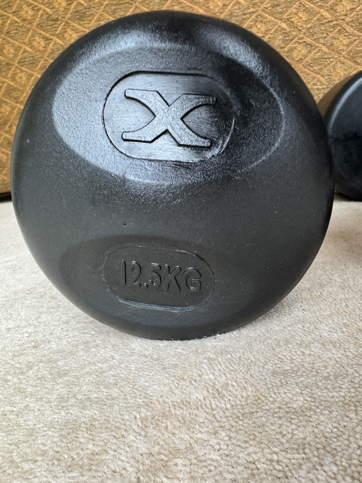 Commercial Rubber Dumbbells 12.5kg eBay