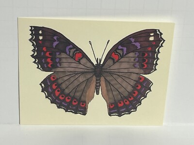 Postcard Butterfly Gaudy Commodore Artist Bridgette Jones Continental Z4