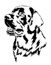 STENCILS CRAFTS TEMPLATES SCRAPBOOKING LABRADOR DOG HEAD STENCIL A4 MYLAR