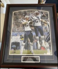 Tedi Bruschi - Colvin photo