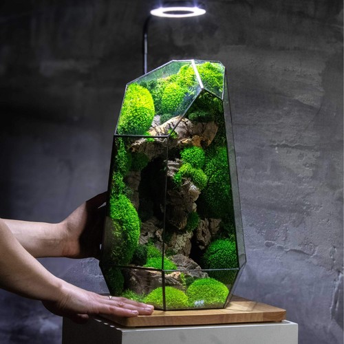 Geometric Terrarium Prism Desktop Office Decor Mossarium Centrepiece Handmade Pr - Picture 12 of 17