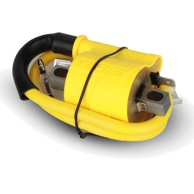 Ignition Coil for 2/4 Stroke Motorcycle,High Performance Ignition Coil, fit 4...