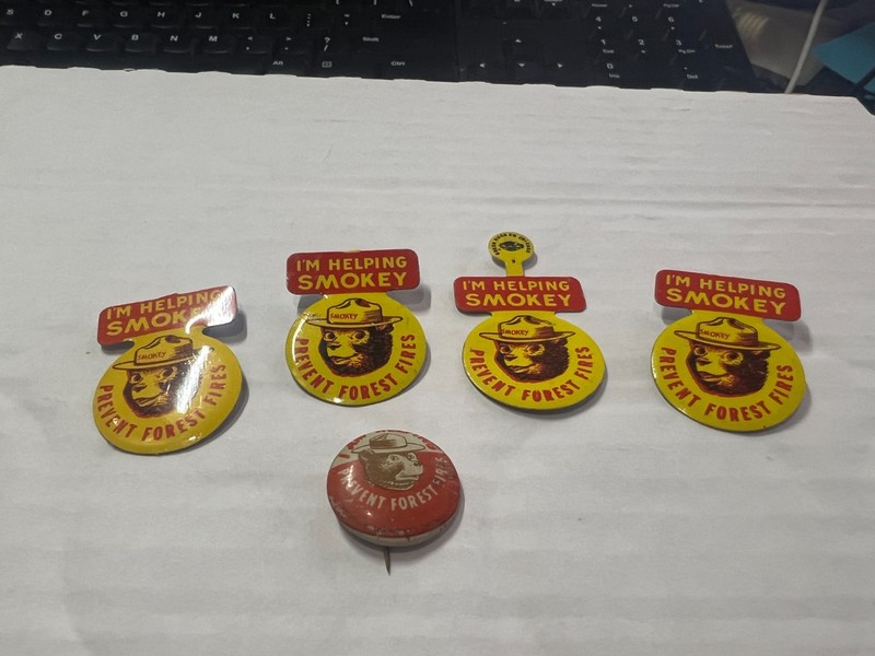 Smokey The Bear Vintage Pins Lot!