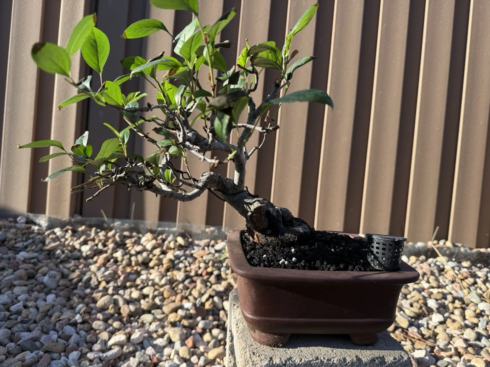 Picture 5 of 8