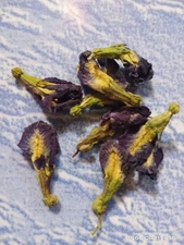 Thai dried butterfly natural herbal blue drink pea tea pure flower organic clean