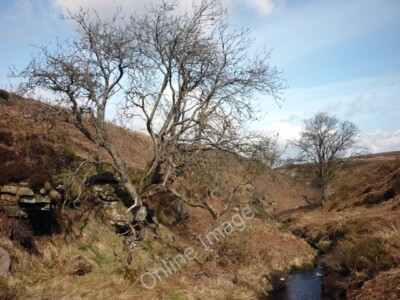 Photo 6x4 In Ulfers Gill West Scrafton There isn't much sign of the  c2010