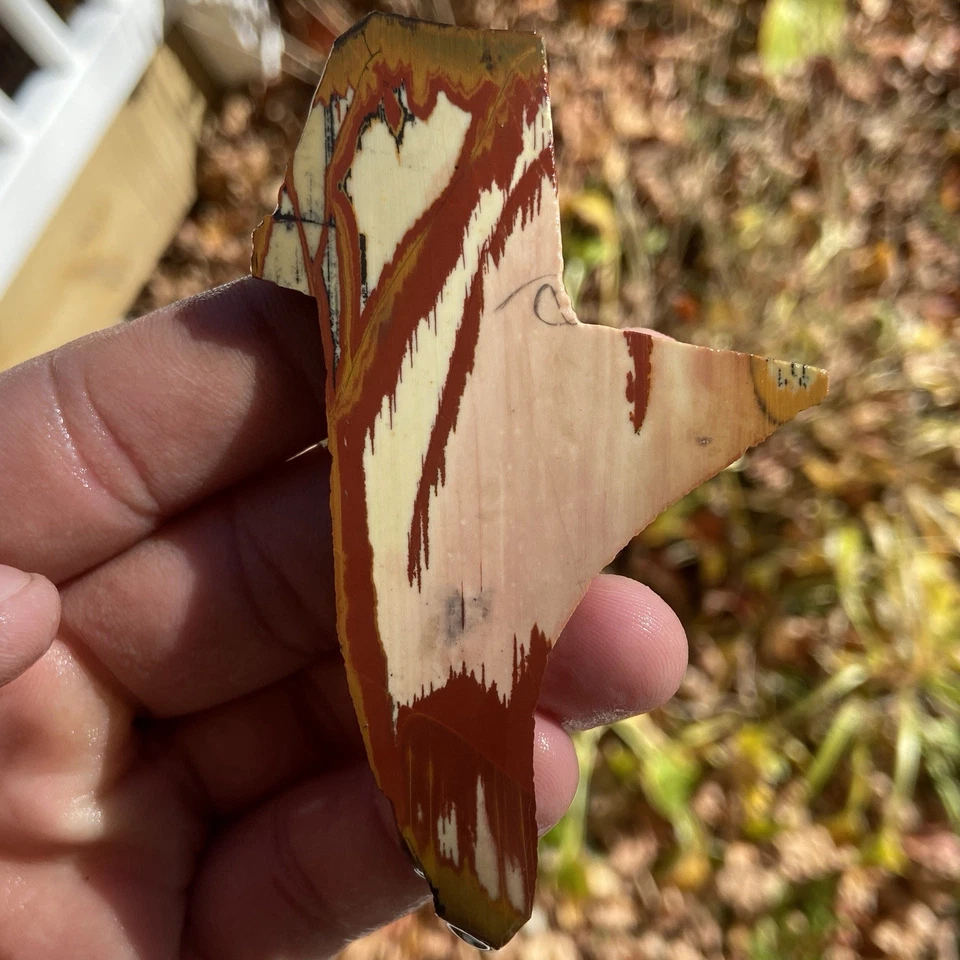 Striking Owyhee Picture Jasper Rough Slab - Image 2 of 4