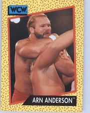 1991 Impel WCW #53 Arn Anderson