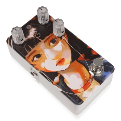 ANIMALS PEDAL Custom Illustrated / IOFTDF might #01 Three