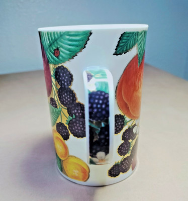 Dunoon ''Somerton'' Caroline B. Coffee Tea Mug Cup 12oz England Fine Bone China