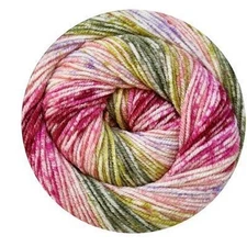 Stylecraft Batik Swirl DK Double Knitting Wool Yarn 200g 3783 Cottage Garden