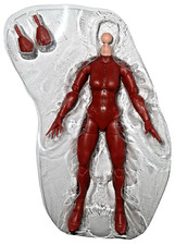 Marvel Legends PHOENIX Rachel Summers 6    Figure Body Only NO HEAD Excalibur