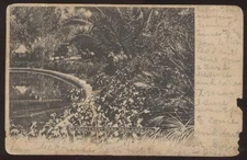 Postcard Redlands,California/CA  Canon Crest Park Pond view 1906?