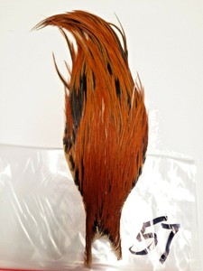 hackle