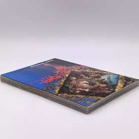 Shin Megami Tensei Devil Summoner no Subete Guide Book 1996 Sega Saturn SS Atlus