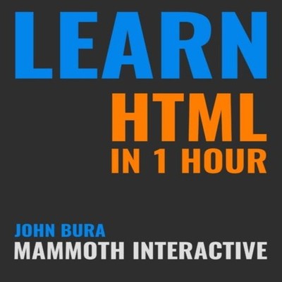 Learn HTML in 1 Hour John Bura Paperback Lulu Press Inc.