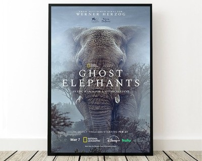Ghost Elephants Werner Herzog National Geographic Movie Poster Documentary Art