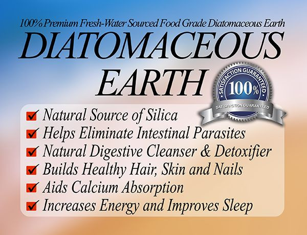 120 Diatomaceous Earth Capsules - #1 Natural Silica,Detox,Heavy Metals,Immunity