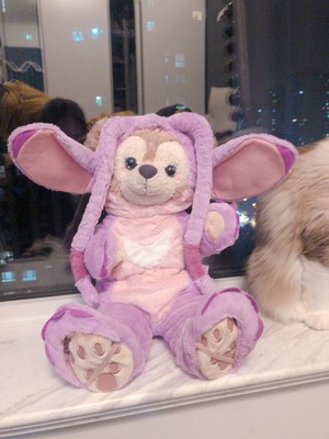 lilo teddy bear