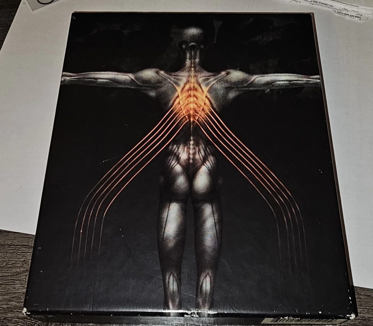 Tool Salival products for sale | eBay