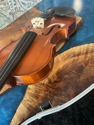 Samuel Eastman VL80 Student Violin 22