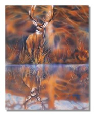 Whitetail Buck Deer Big Antler Rack Animal Wildlife Cabin Lodge Wall Picture Art