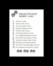 English Foxhound - CUSTOM MATTED - Dog Art Print - P/L