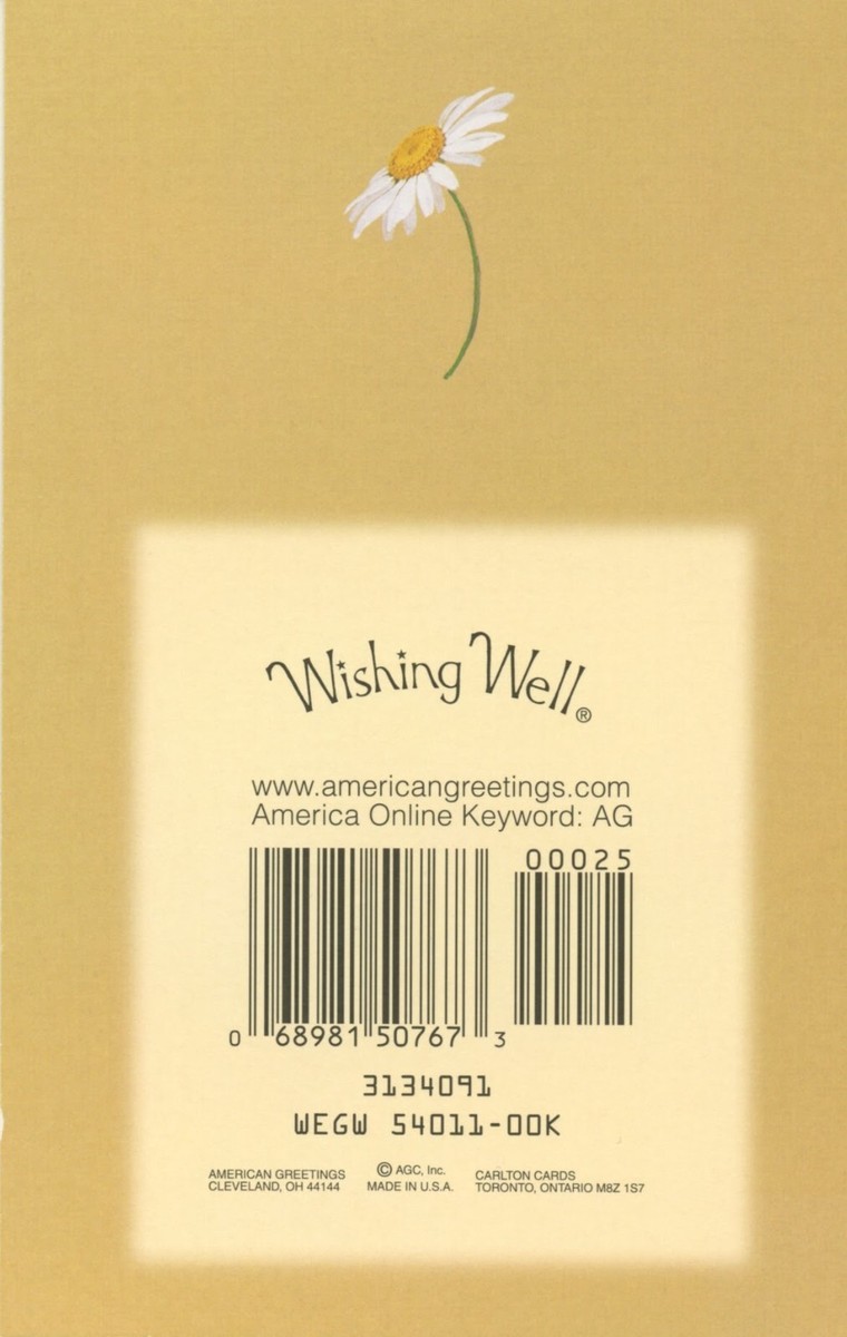 Old English Co. A Little Birdie Get Well Card - View #11