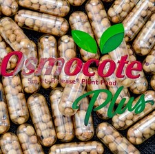 Osmocote Plus Root Tabs Slow Release Aquarium Plant Fertilizer, Qty 50