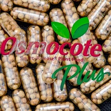 Osmocote Plus Root Tabs Slow Release Aquarium Plant Fertilizer, Qty 50