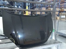 Hood With Hood Scoop Fits 03-05 RAV4 398994