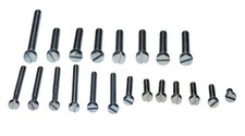 Screw set motor housing motor screws Jawa 350 TS350 638 zinc-plated 21 pieces