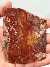 Mexican Red Moss Agate Slab Lapidary Cabbing Combo Ship Avail