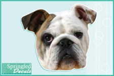 BULLDOG Head Vinyl Decal 1 Car Truck Dog Sticker