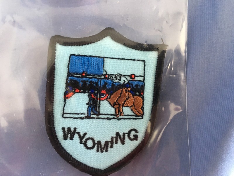 WYOMING Flag Cowboy Rodeo Horse Vintage Patch Resort Travel Souvenir RARE WY