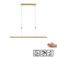 Led Pendellampe Messing Cct Farbwechsel Touchdimmer HöHenverstellbar Ausziehbar