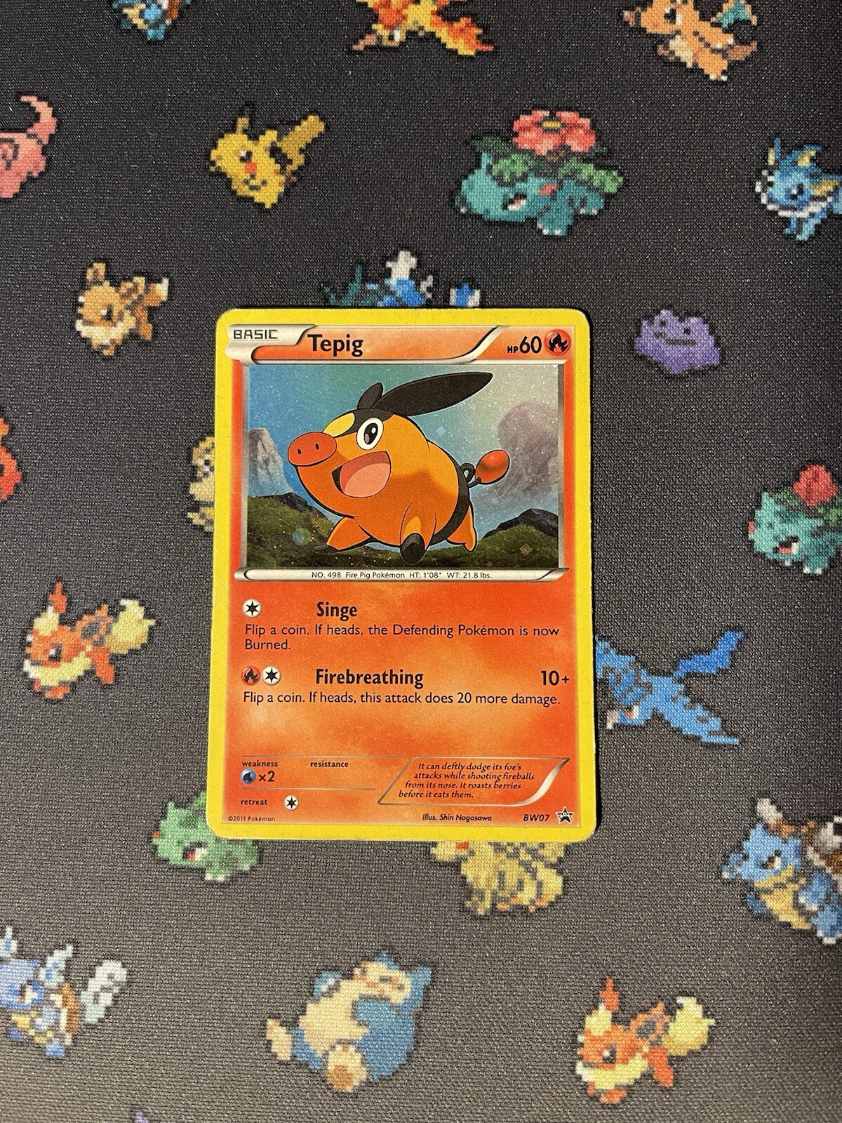 Pokémon Card Tepig BW07 Black & White Holo Promo - (HP)