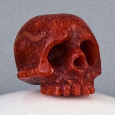 Human Skull Bead 12.13mm Carved Natural Red Sponge Coral Vertical drilled 1.50g