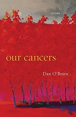 OUR CANCERS by O'BRIEN, DAN Paperback Self Help Business