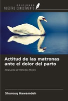 Shurouq Hawamdeh | Actitud De Las Matronas Ante El Dolor Del Parto | Taschenbuch