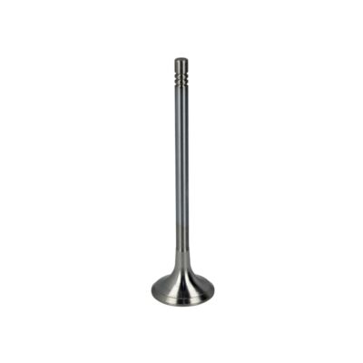 Auslaßventil FRECCIA R6621/RCR