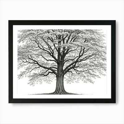 Ahorn Baum Bleistift Skizze Ultra Detail Gerahmtes Wandbild Poster Leinwanddruck Bild