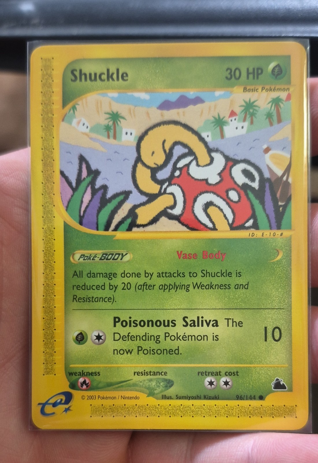 Shuckle 96/144 Skyridge Regular