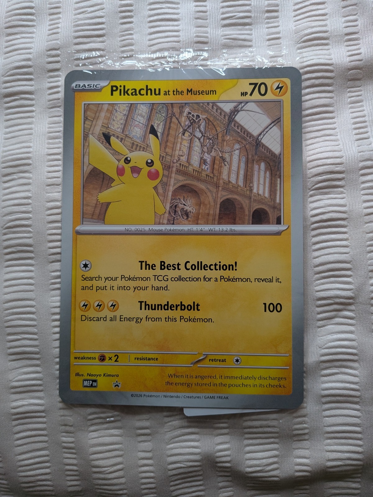 Pikachu At The Museum Pokemon Card
